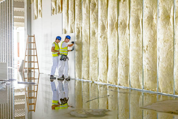 Best Commercial Insulation in Royston, GA